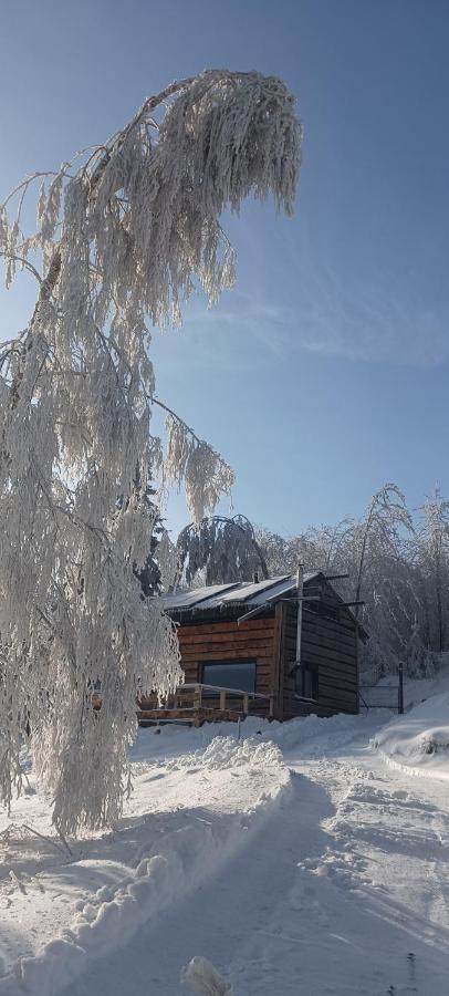 Enklawa W Porebie Długopole-Zdrój Esterno foto