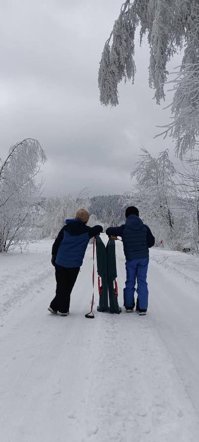 Enklawa W Porebie Długopole-Zdrój Esterno foto