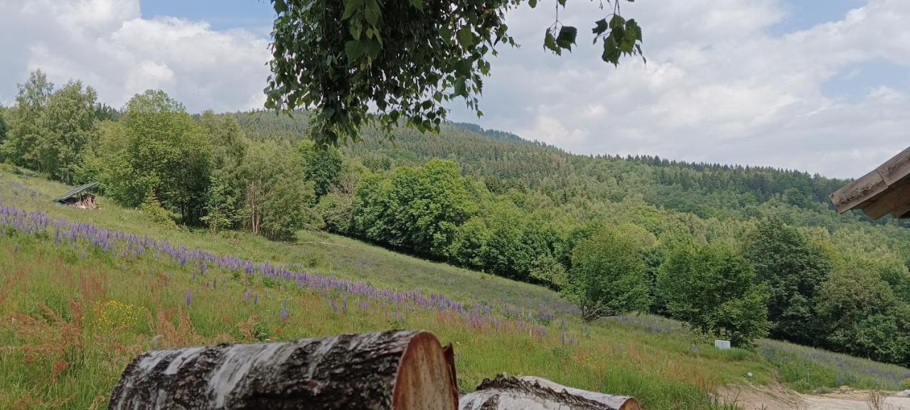 Enklawa W Porebie Długopole-Zdrój Esterno foto